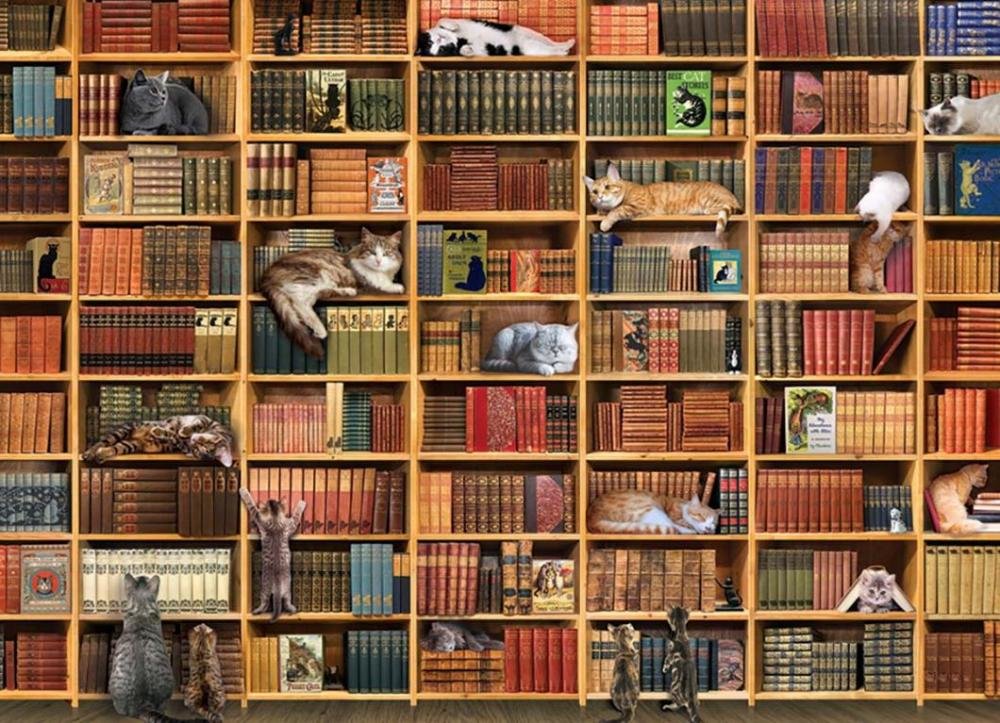Книг и кошек много не бывает - книги, полки, коты - оригинал
