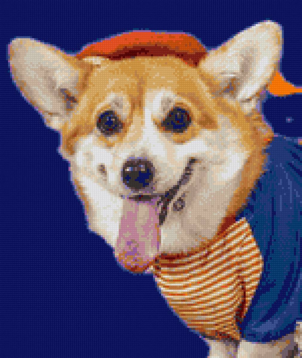 Корги Маруся Леонидовна - предпросмотр