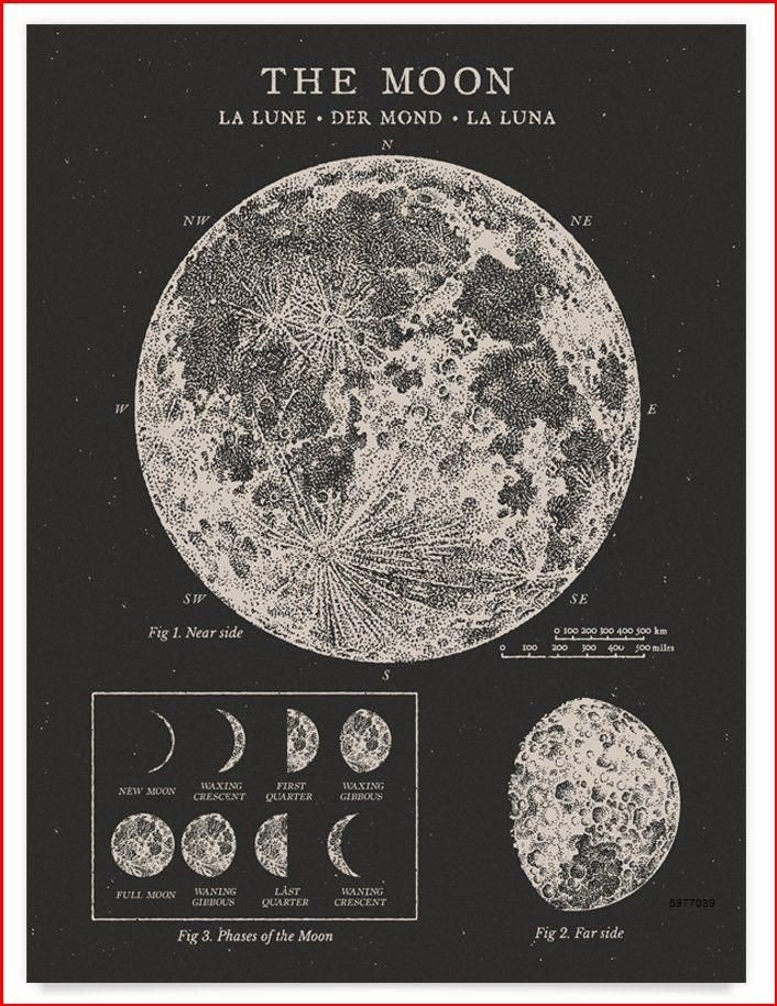 The Moon - moon - оригинал