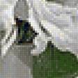 Предпросмотр схемы вышивки «белый натюрморт» (№2437668)
