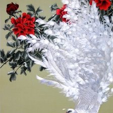 Схема вышивки «павлин»