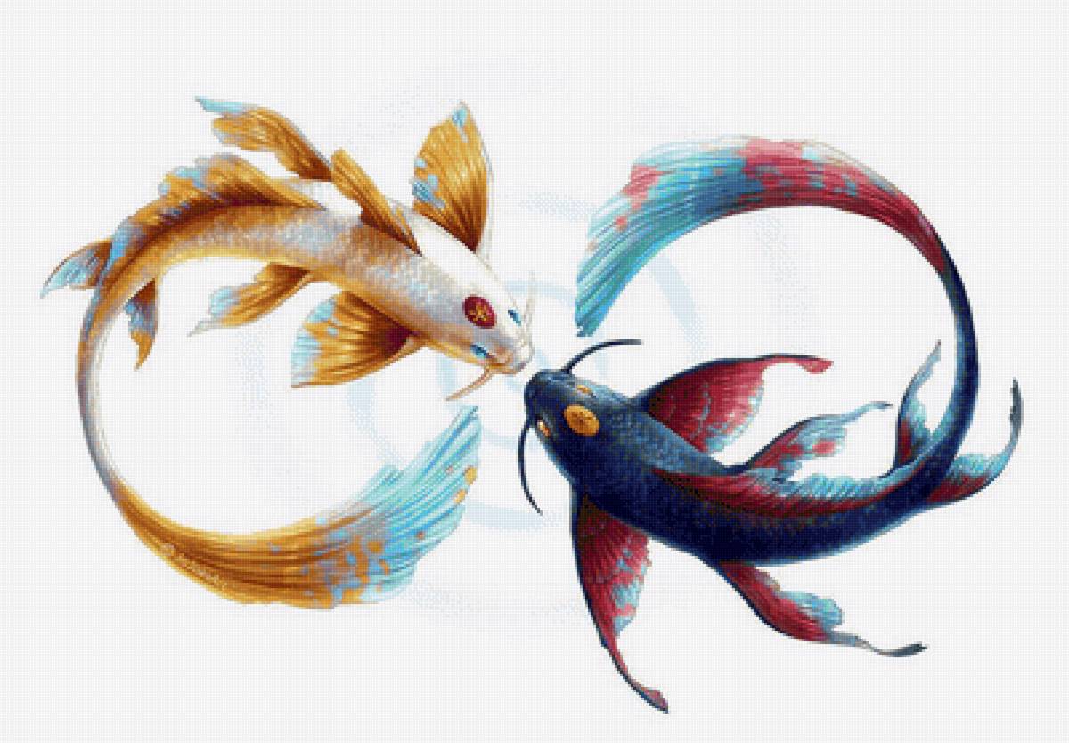 кои - предпросмотр