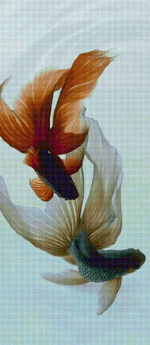 рыбки - предпросмотр