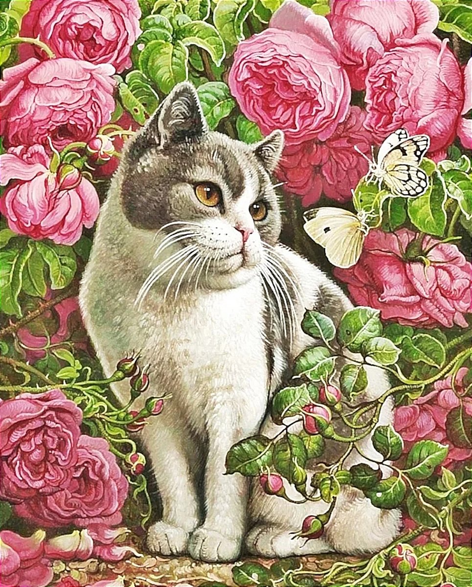 Кот в саду - пионы, кот - оригинал