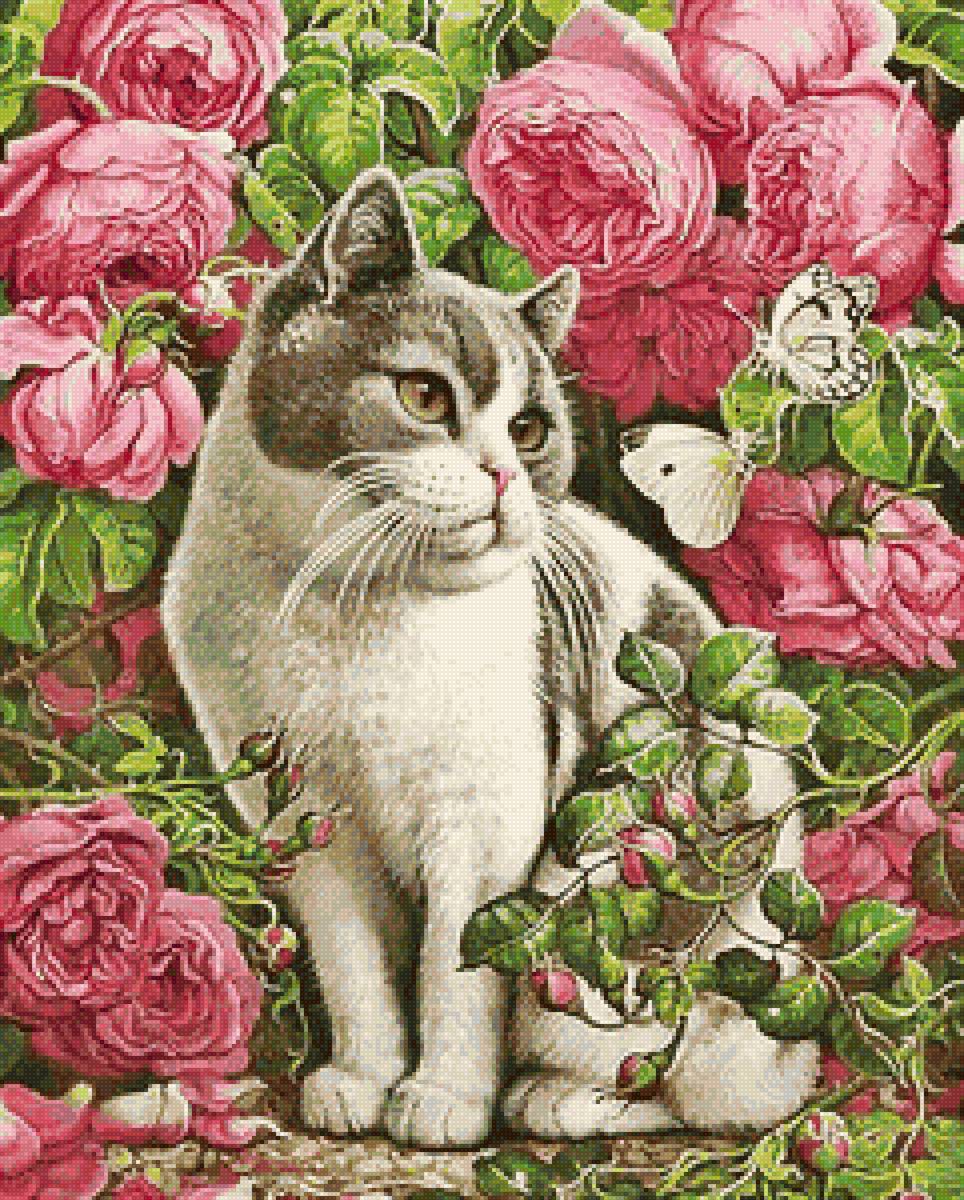 Кот в саду - пионы, кот - предпросмотр