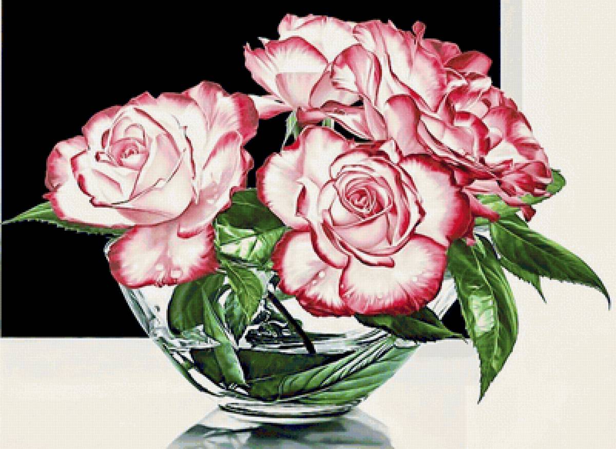 Розы - розы - предпросмотр