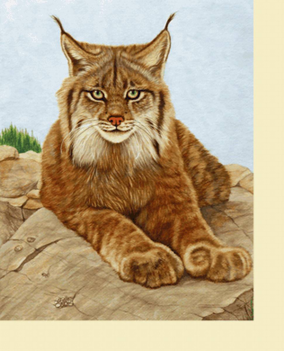 Серия "Хищники" - животные, хищники - предпросмотр