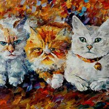 Коты. Афремов