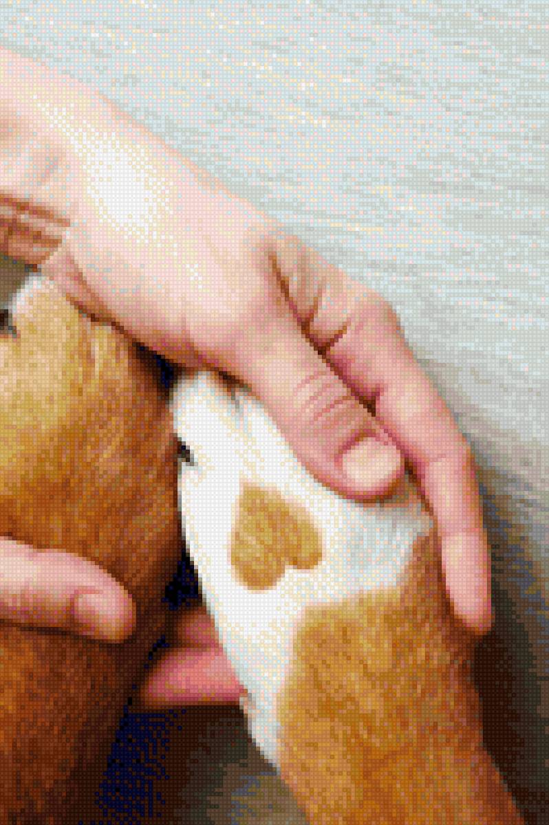 Лапка Лайк - красота, животные, лайк, сердце - предпросмотр