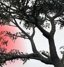 Схема вышивки «солнце 3»