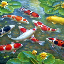 Схема вышивки «кои»