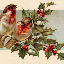 Схема вышивки «птицы»