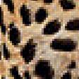 Предпросмотр схемы вышивки «Леопард.» (№2439149)
