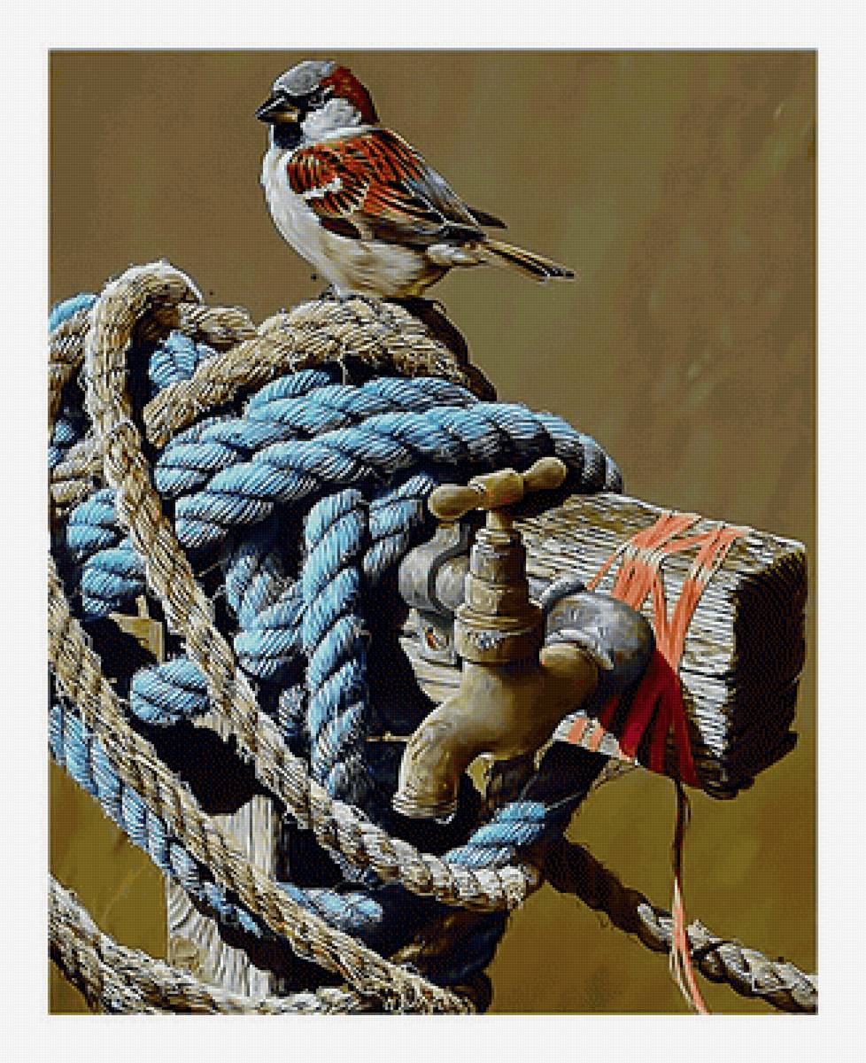 Воробушек. - птицы, живопись, воробей - предпросмотр