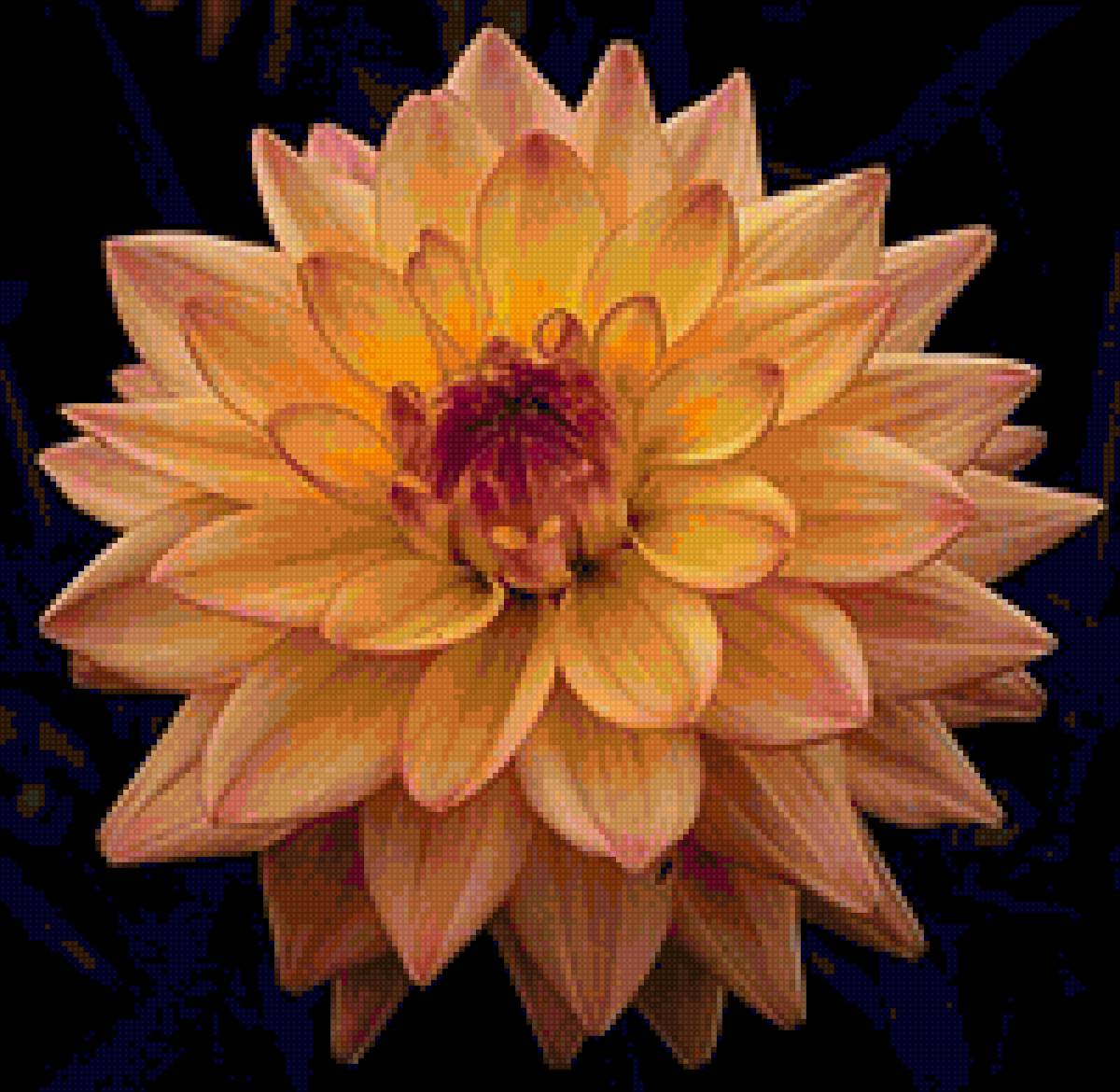 flor - flor - предпросмотр