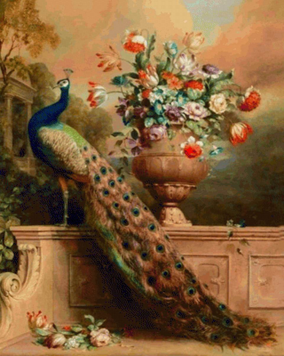 Павлин - павлин - предпросмотр