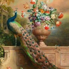 Схема вышивки «Павлин»