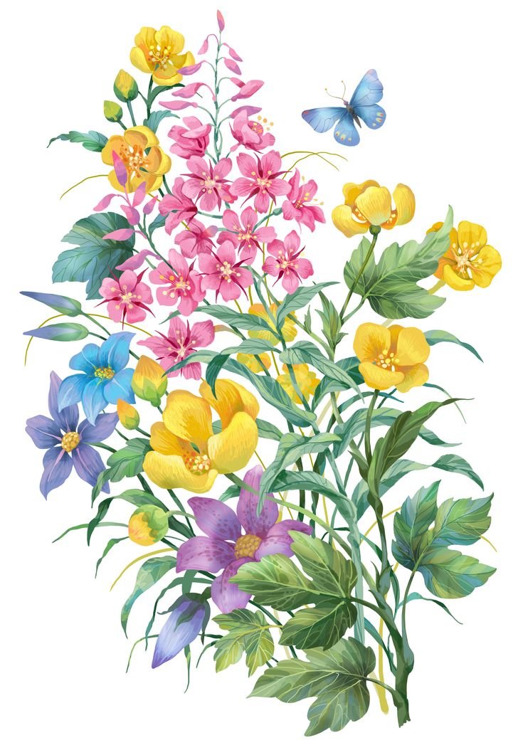 №2439793 - цветы - оригинал