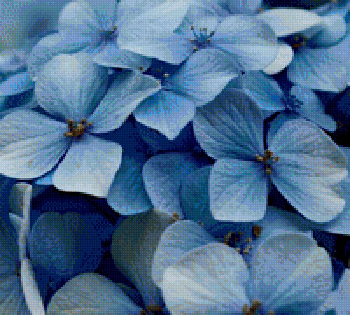 подушка голубая гортензия - гортензия, подушка, цветы - предпросмотр