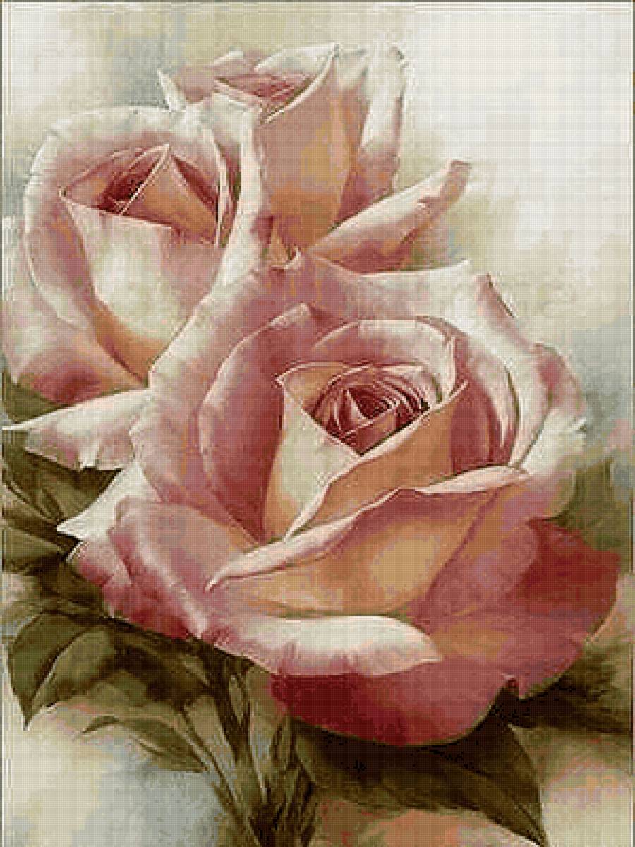 №2440366 - предпросмотр