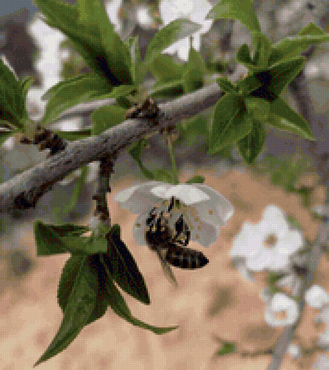 Весенняя труженица - насекомые, весна, природа - предпросмотр