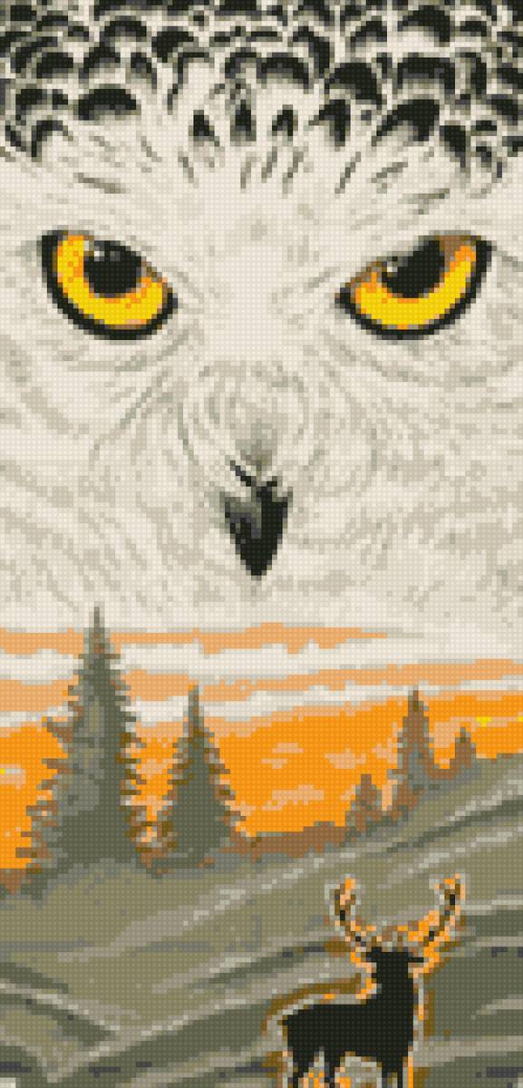 Совиный взгляд, - сова, взгляд - предпросмотр