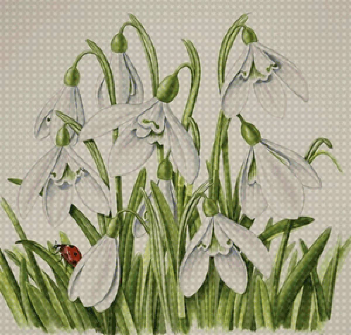 Первые - весна, подснежники, цветы - предпросмотр