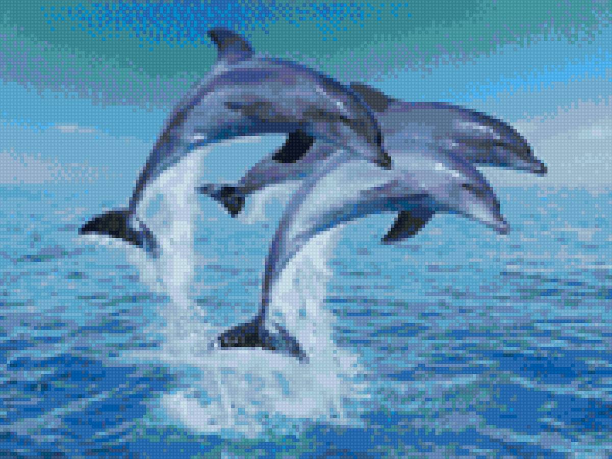 тройка дельфинов - дружба, дельфины, море - предпросмотр