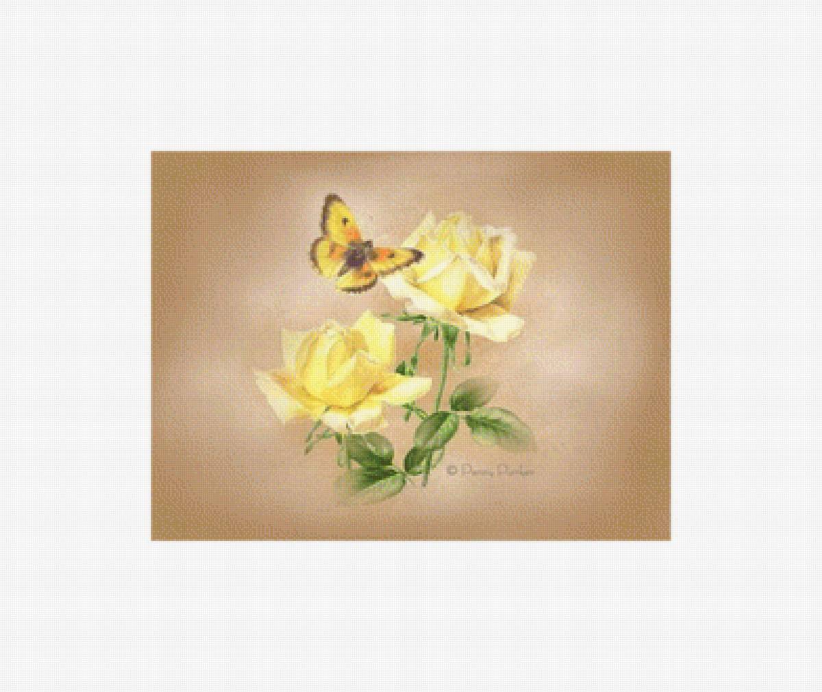 Бабочка на жёлтых розах - роза, натюрморт, розы, бабочка - предпросмотр