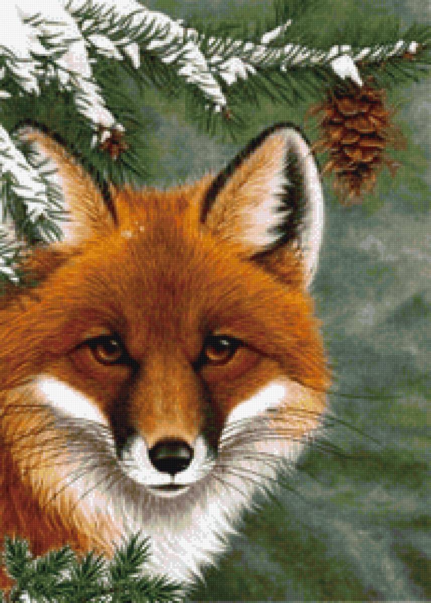 Рыжая красавица - лиса, зима - предпросмотр