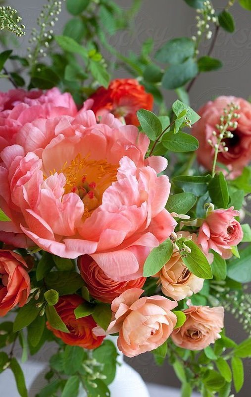 Flores hx - flores - оригинал