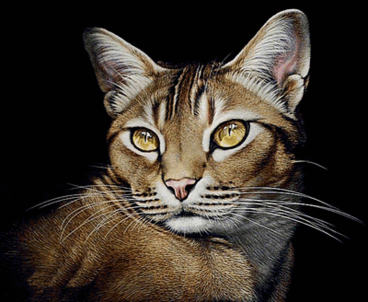 большая кошка - кошка - предпросмотр