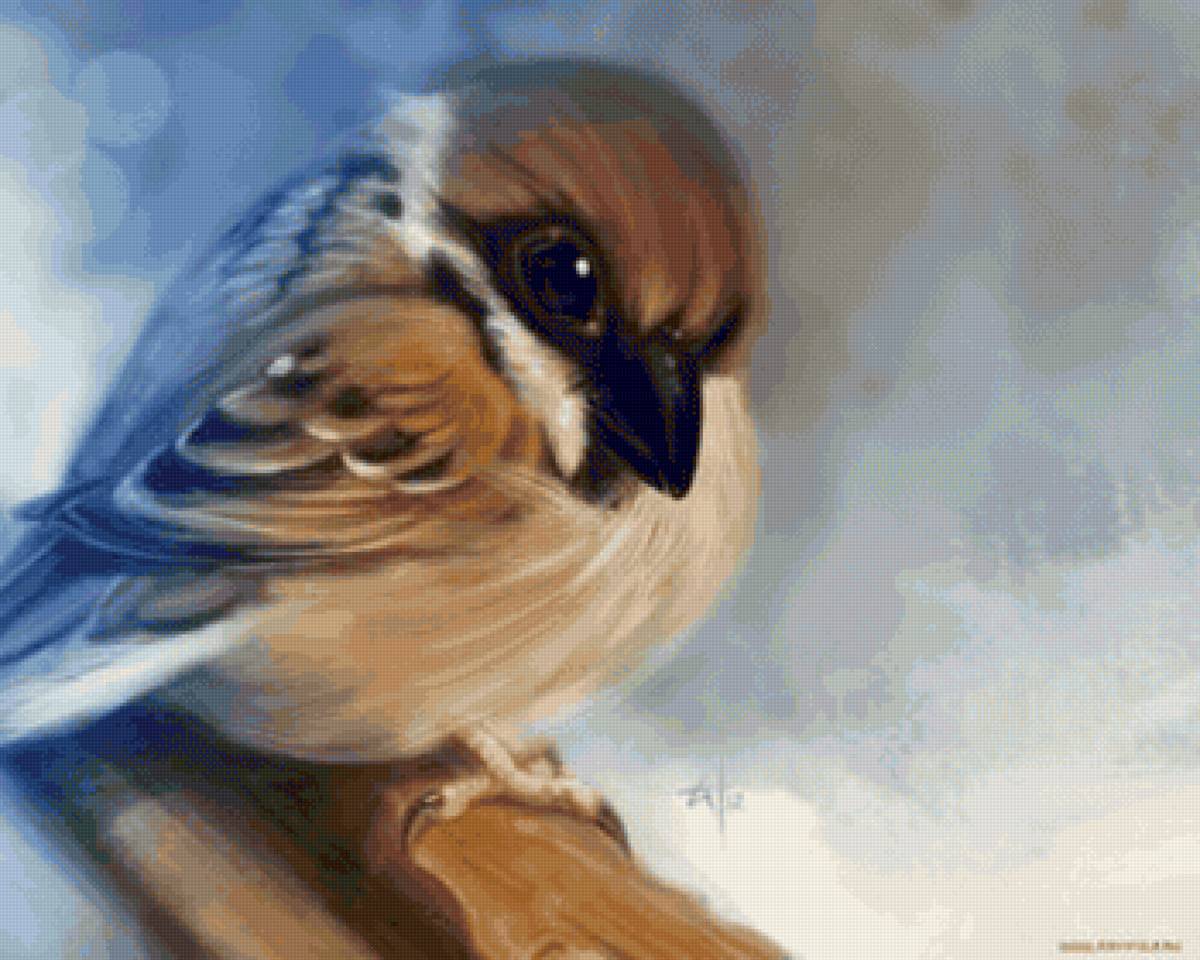 воробушек - предпросмотр