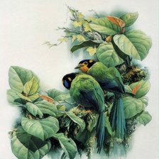 Схема вышивки «птички»