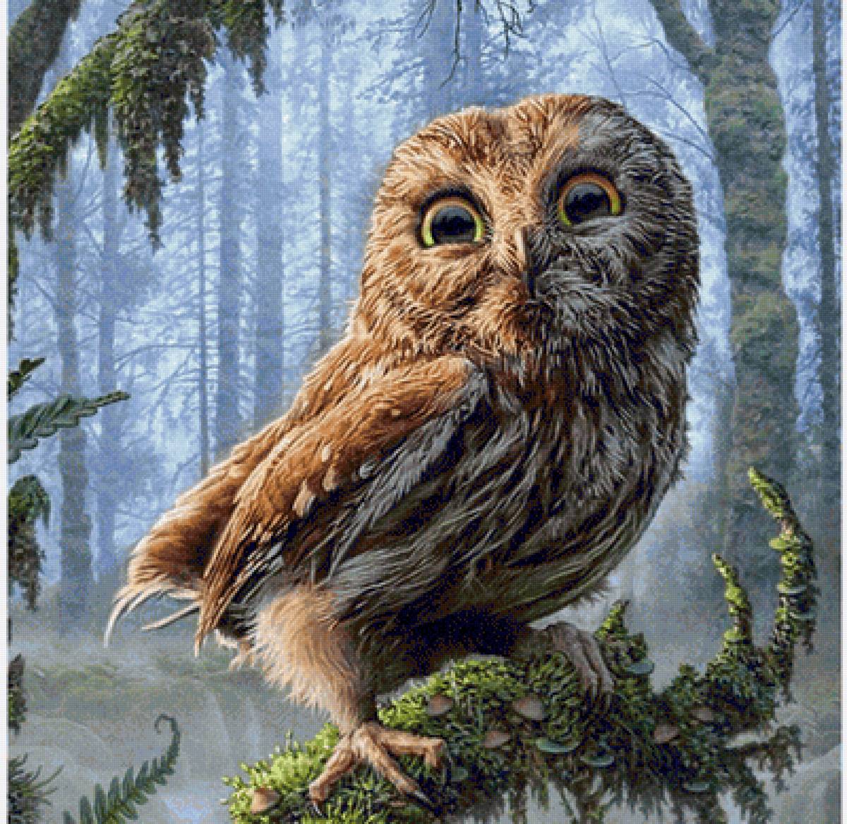 сова - предпросмотр