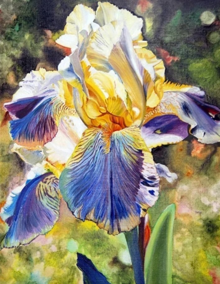 Iris - оригинал