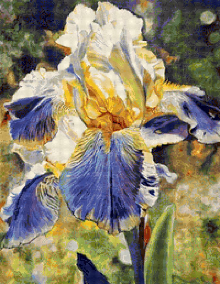 Iris - предпросмотр