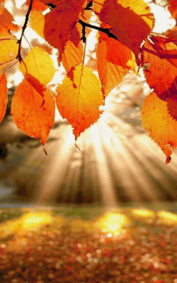 золотая осень - листья, осень - предпросмотр