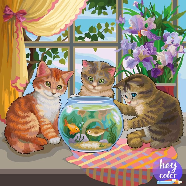 Meo và cá - meo - оригинал