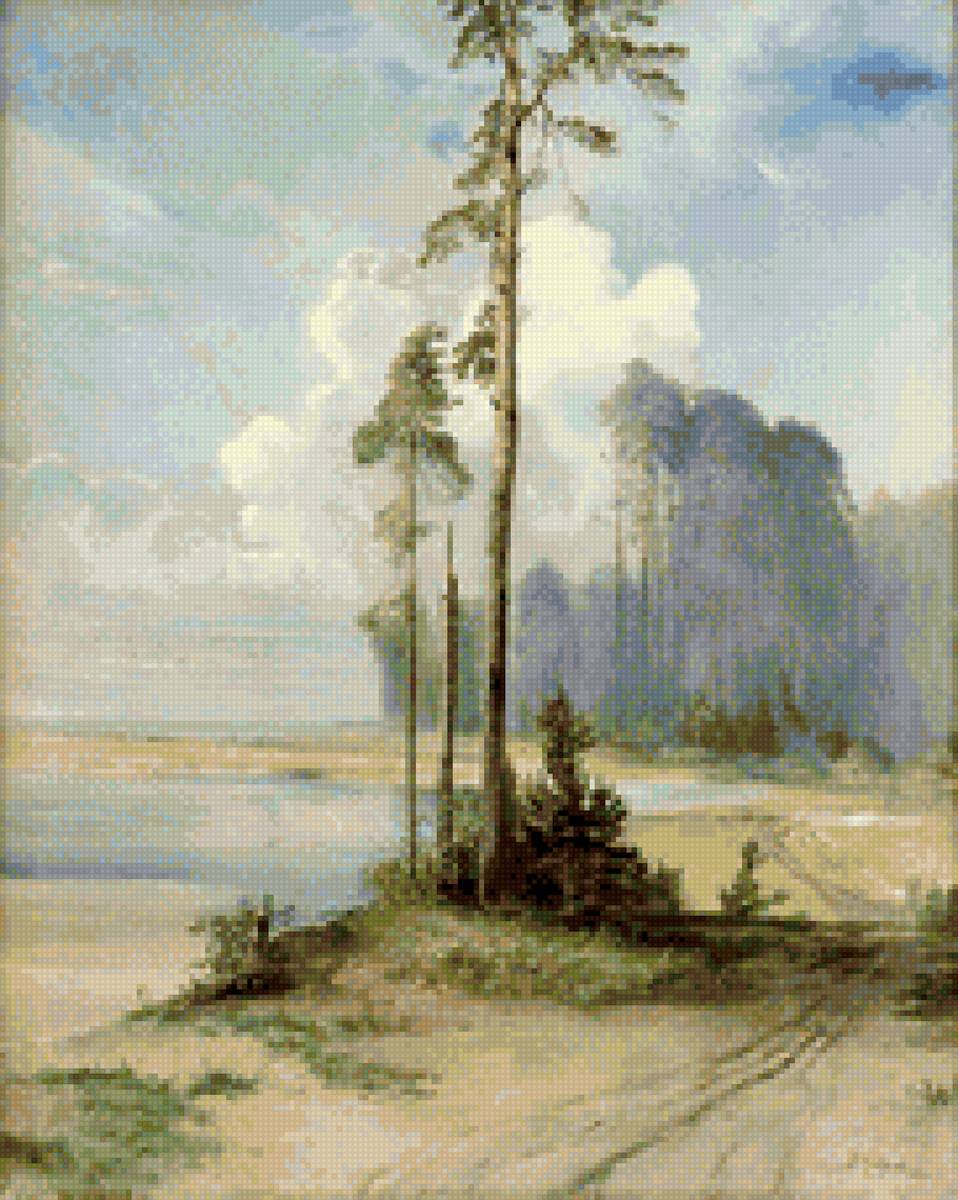 Летний пейзаж. Сосны - деревья, природа, картины, пейзаж, лето, дерево - предпросмотр