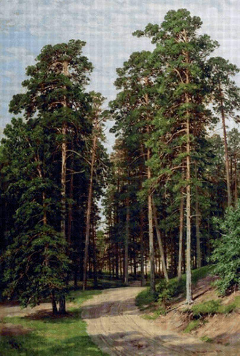 дорога в соснах - сосны, шишкин, лес, пейзаж - предпросмотр