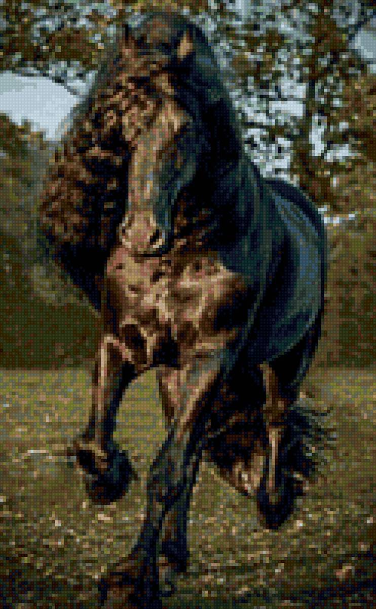 Лошадь - лошади - предпросмотр