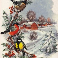 Схема вышивки «птицы»