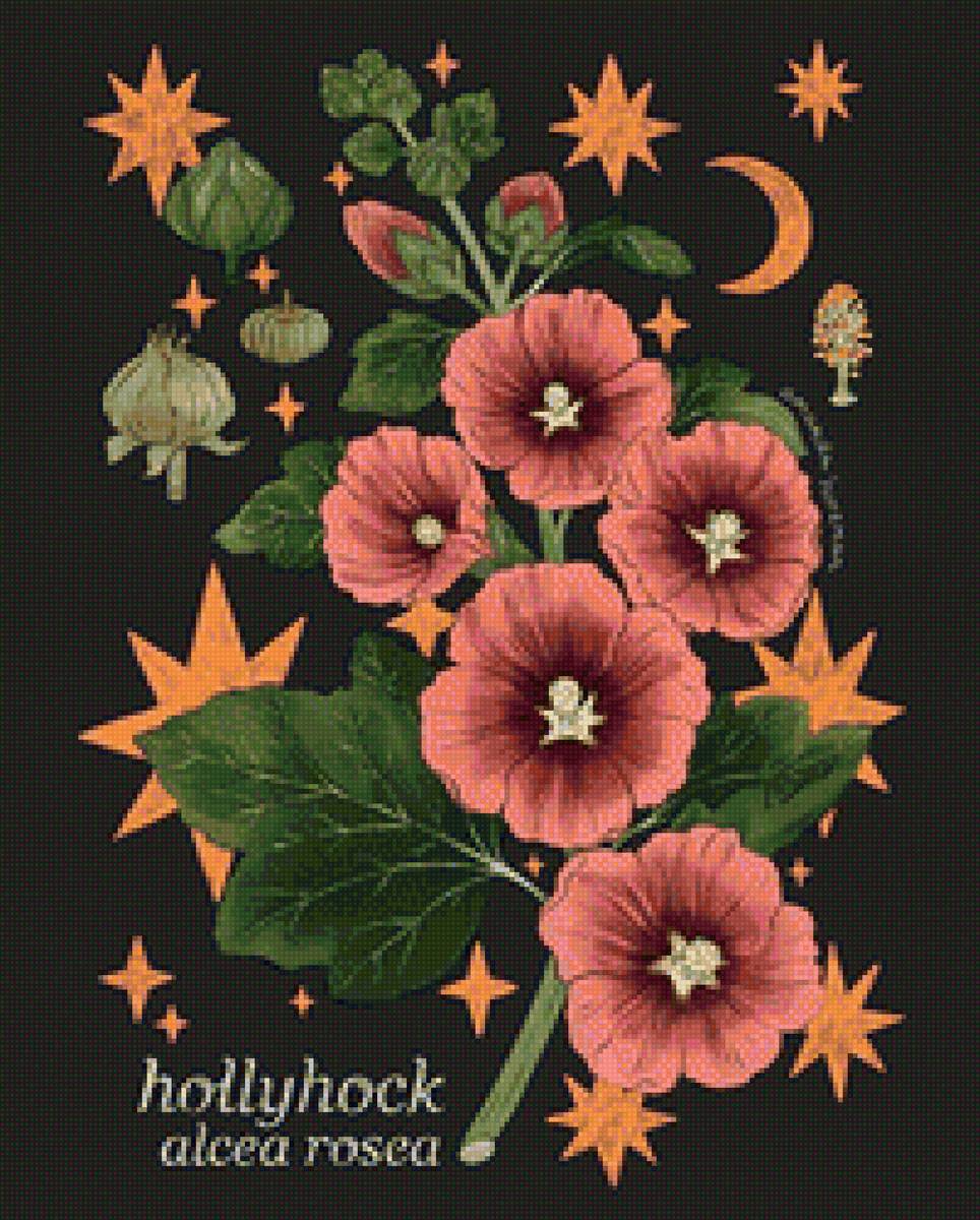 Штокроза - мальва, цветы, алтей, цветок, роза, штокроза, растения - предпросмотр