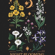 Схема вышивки «Цветы ночи»