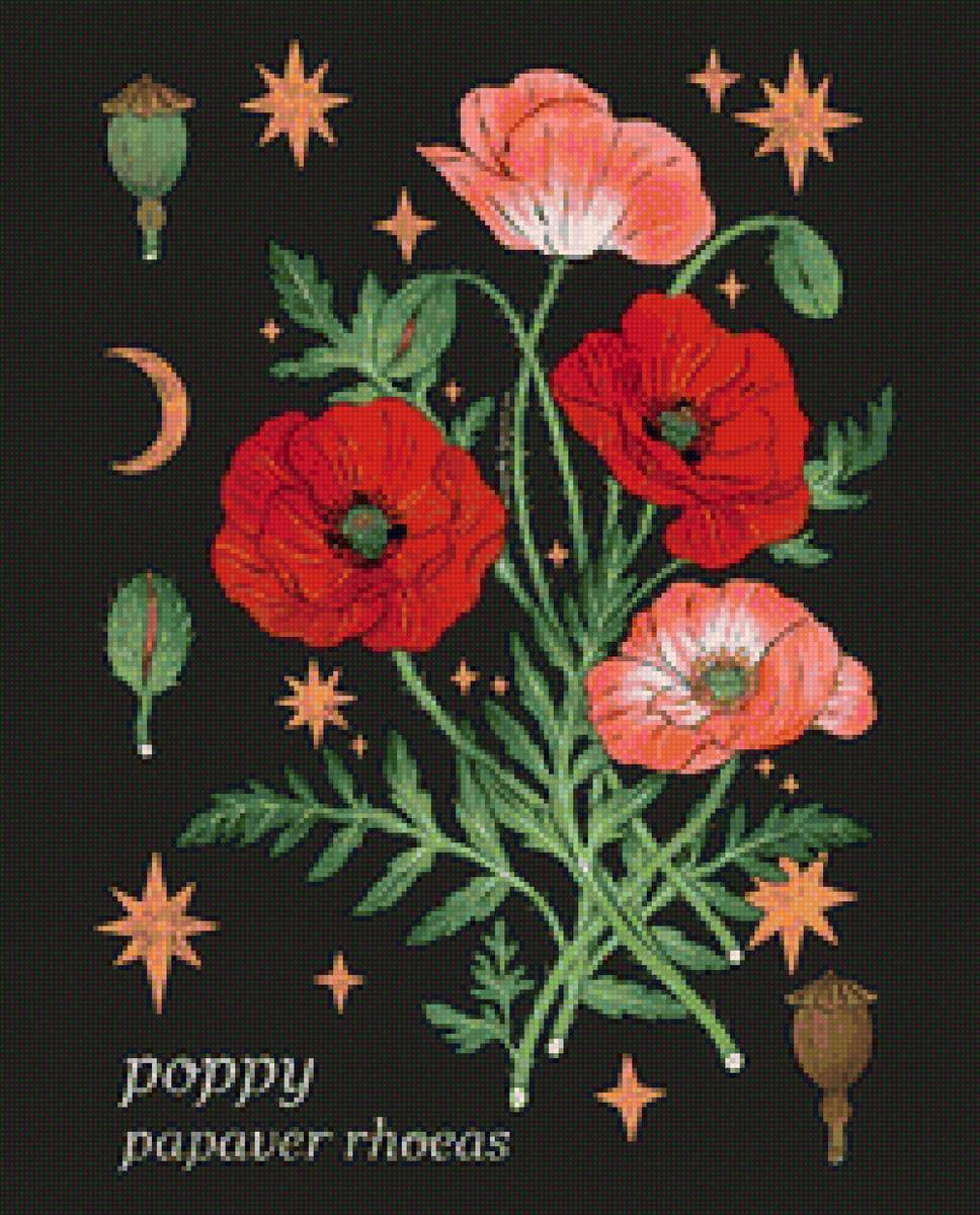 Красный мак - цветы, мак, растения, красный мак, красный, цветок - предпросмотр