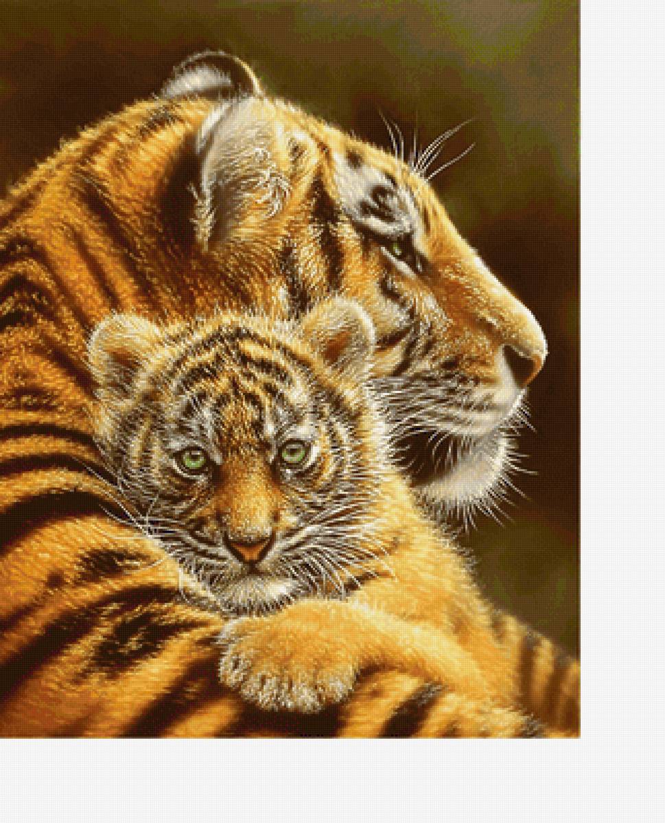 Серия "Хищники" - хищники, тигры, животные - предпросмотр