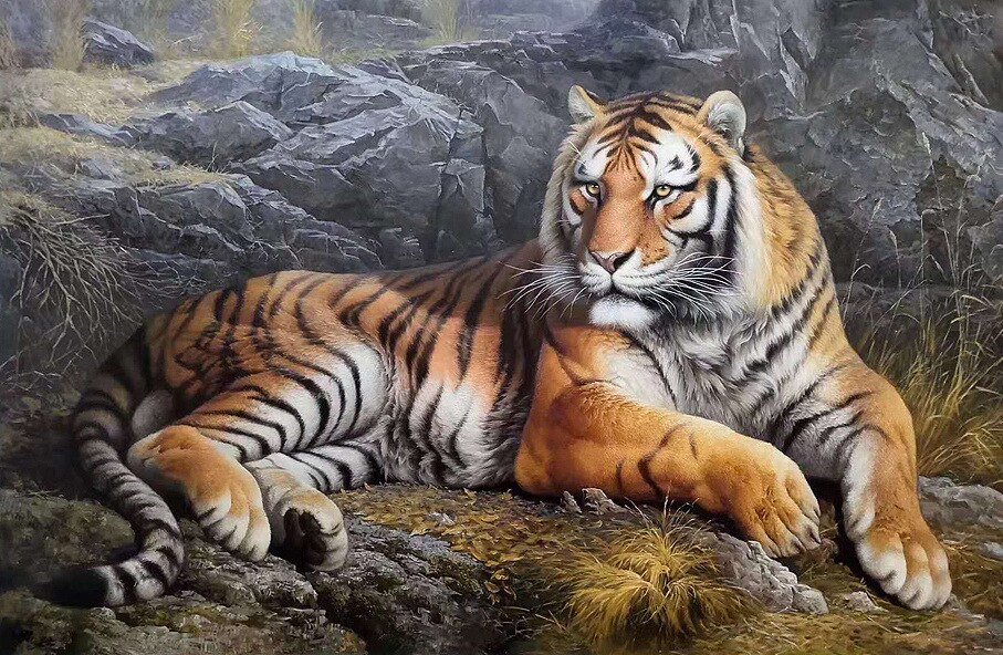 Серия "Хищники" - животные, хищники, тигр - оригинал