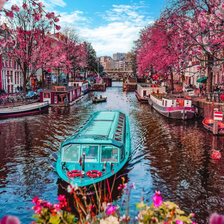 Схема вышивки «№2444454»