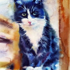 Схема вышивки «№2444455»